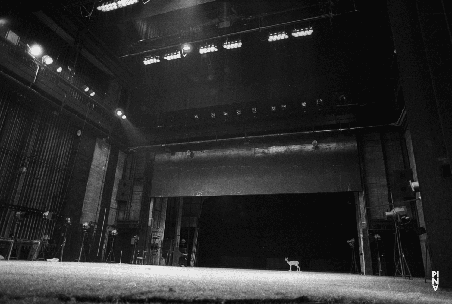 Photo de « 1980 – Une pièce de Pina Bausch » de Pina Bausch