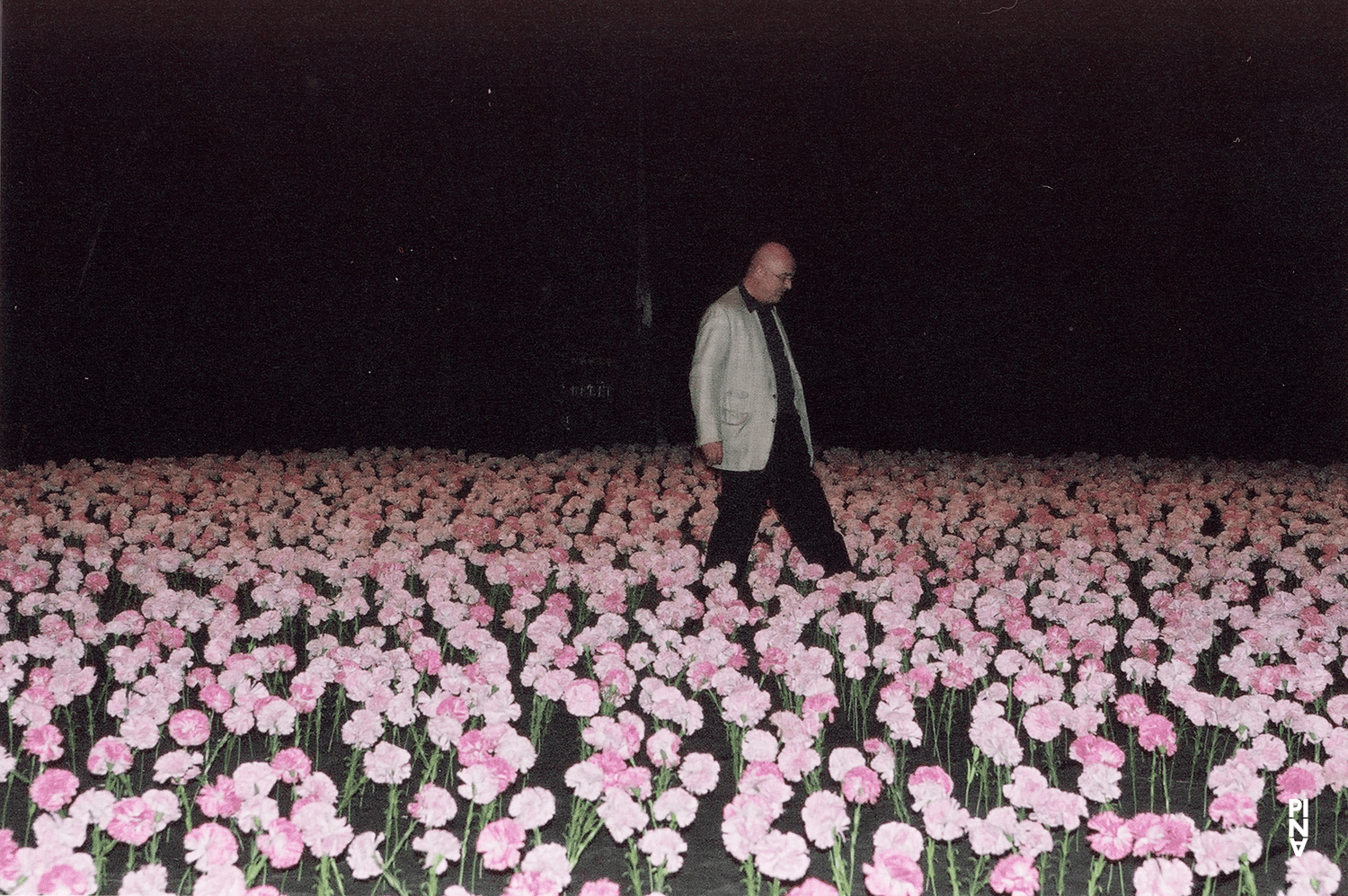 Peter Pabst in the set of “Nelken (Carnations)”