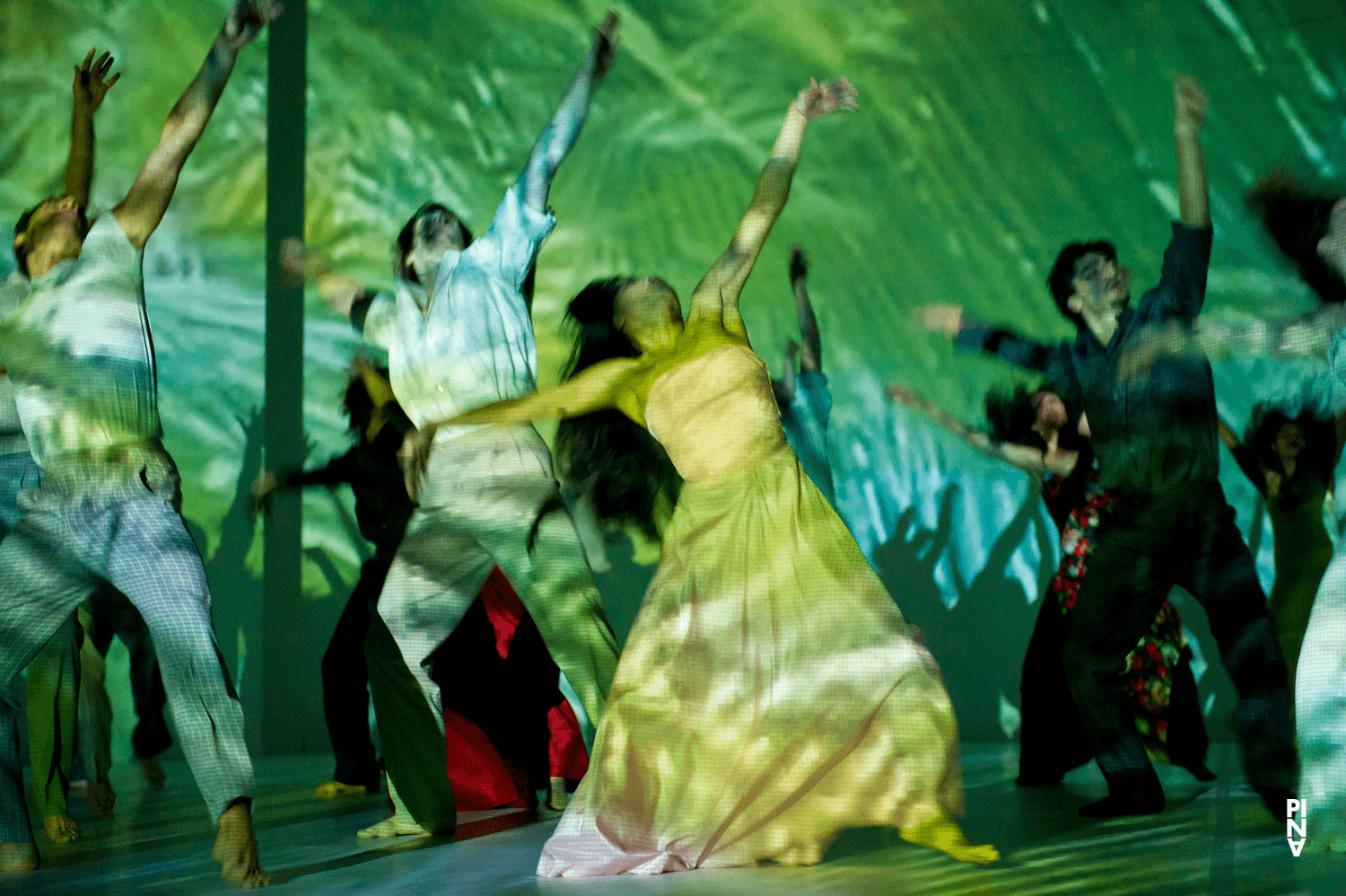 Damiano Ottavio Bigi in „Água“ von Pina Bausch mit Tanztheater Wuppertal im Opernhaus Wuppertal (Deutschland), 18. November 2010