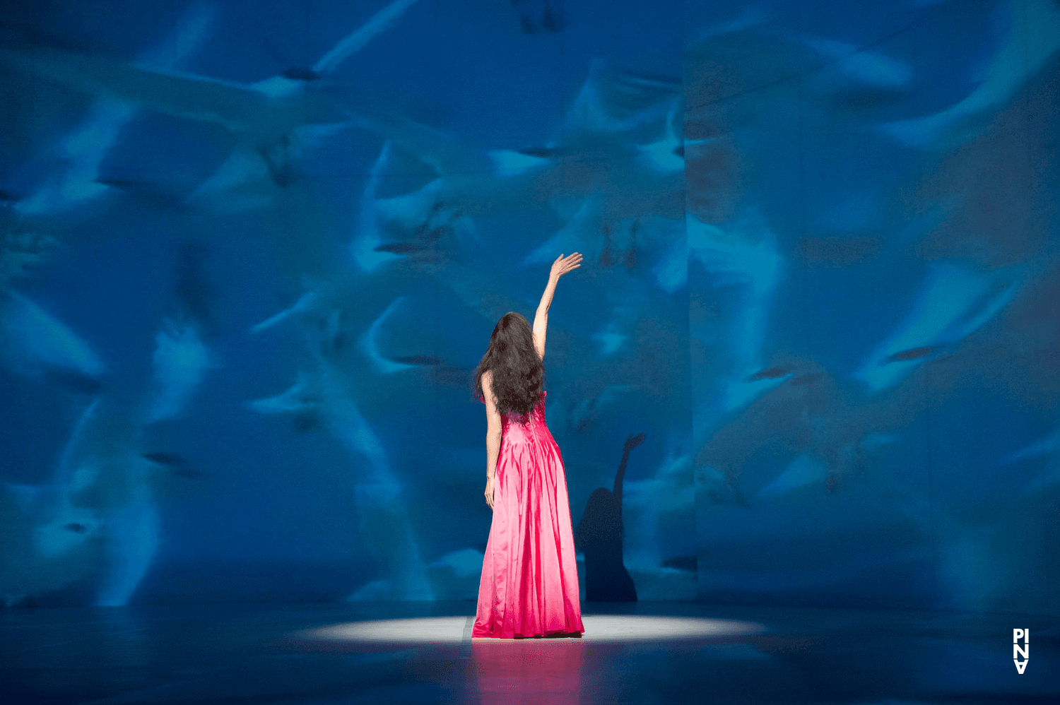 Nayoung Kim in “Água” by Pina Bausch with Tanztheater Wuppertal at Opernhaus Wuppertal (Germany), Nov. 18, 2010