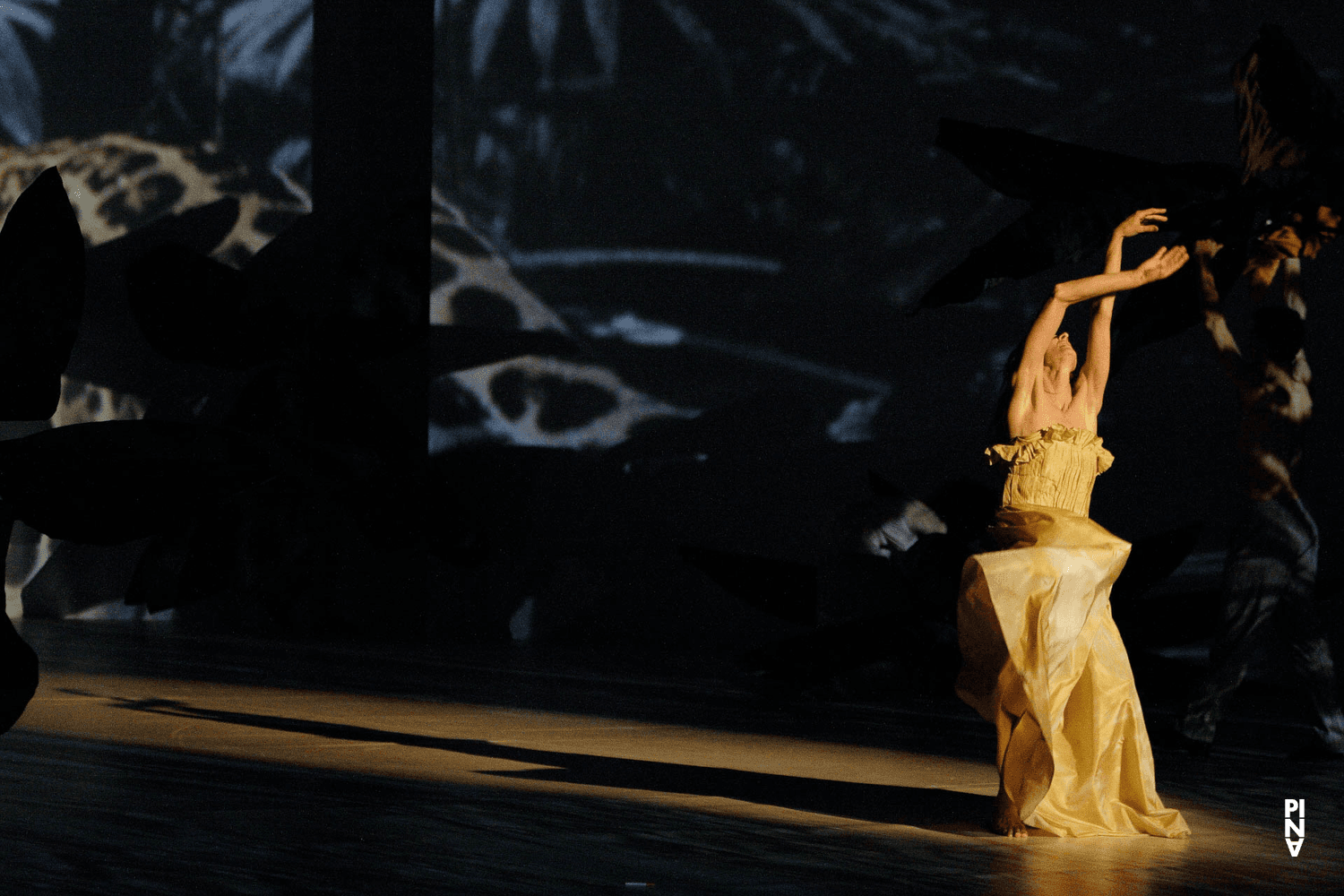 “Água” by Pina Bausch with Tanztheater Wuppertal at Teatro La Fenice Venedig (Italy), July 11, 2007