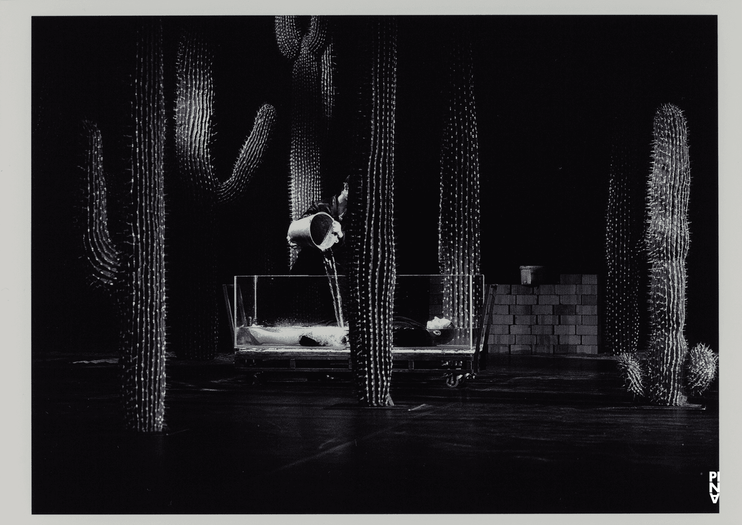 Julie Shanahan et Jan Minařík dans « Ahnen » de Pina Bausch