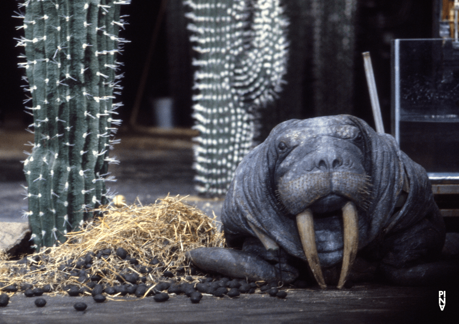 “Ahnen” by Pina Bausch