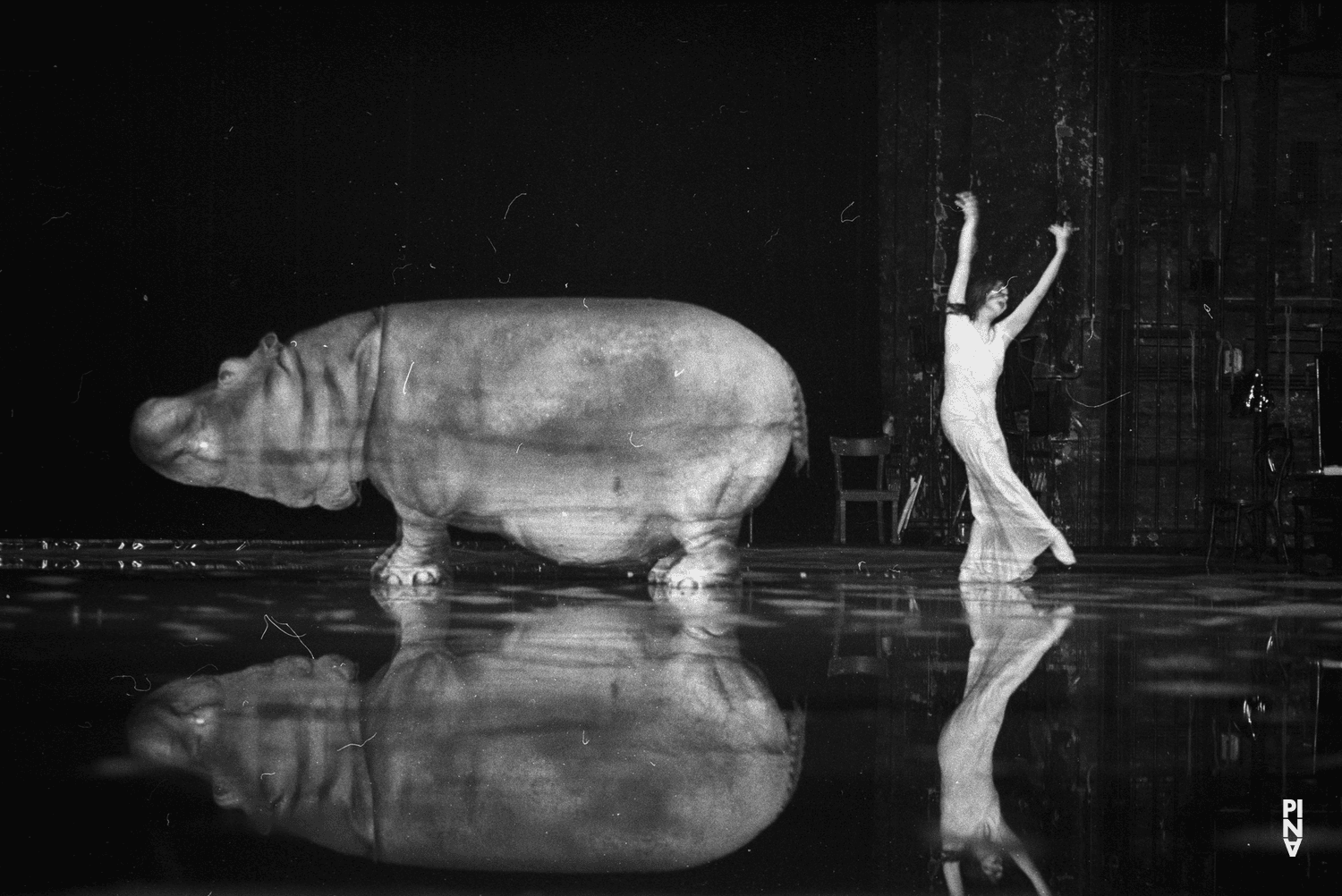 Josephine Ann Endicott dans « Arien » de Pina Bausch