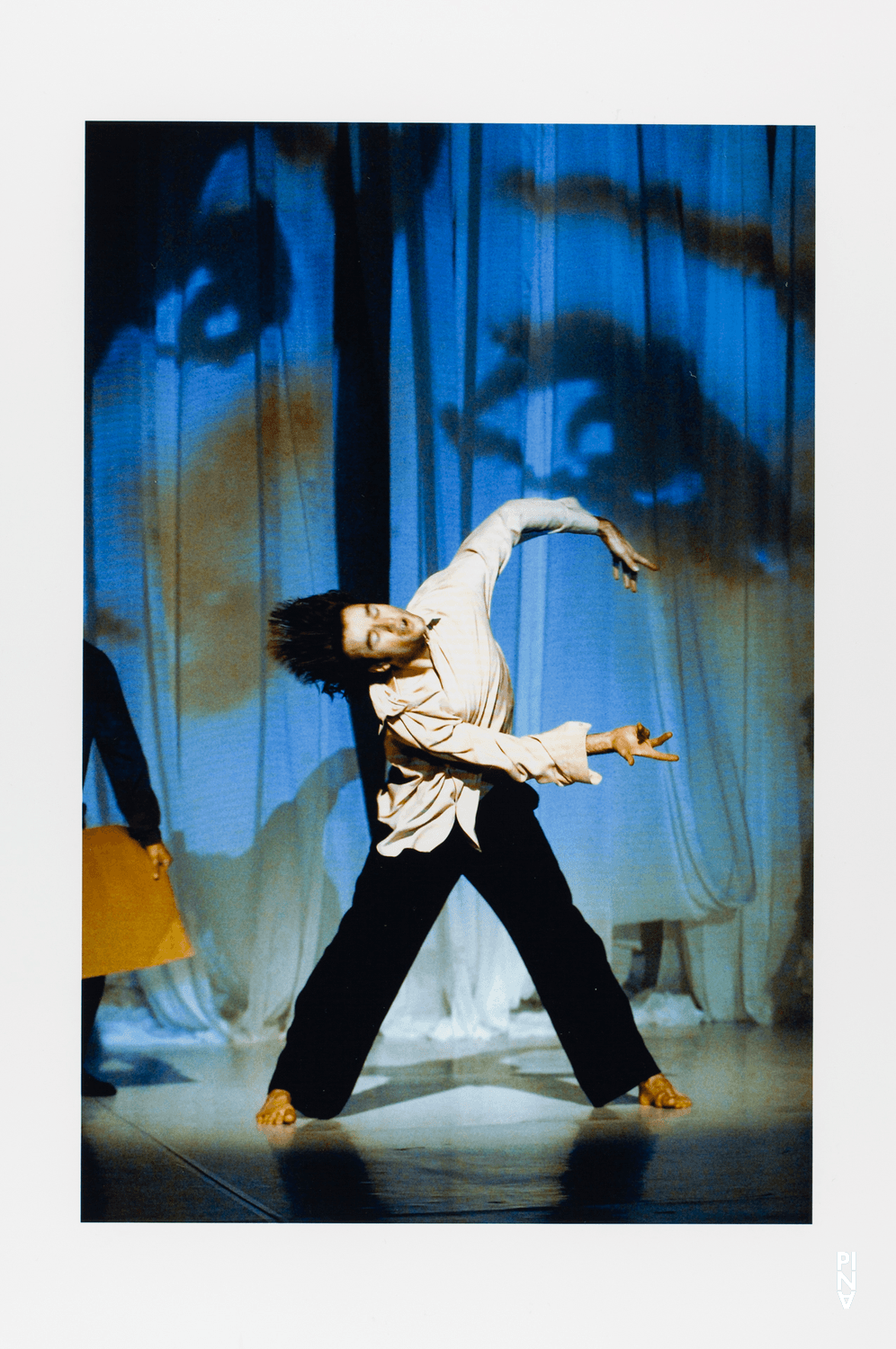 Pablo Aran Gimeno dans « Bamboo Blues » de Pina Bausch, saison 2006/07