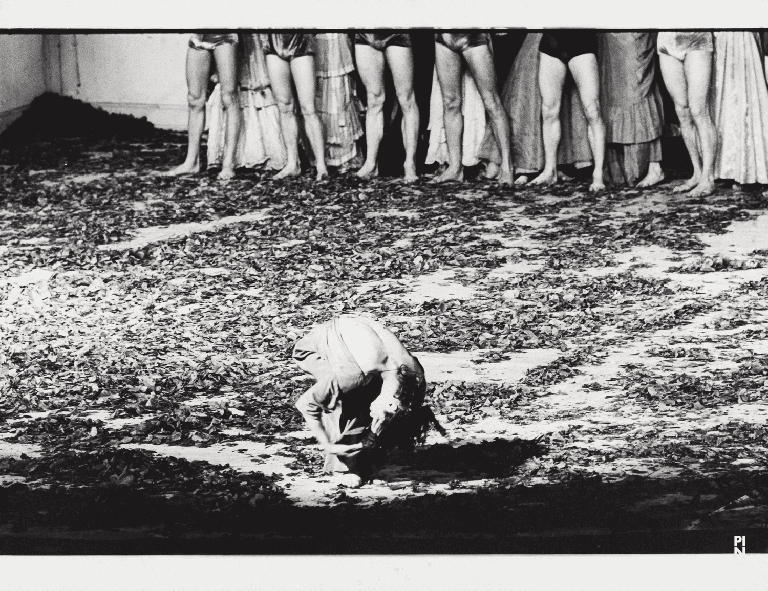 Beatrice Libonati in „Blaubart.  Beim Anhören einer Tonbandaufnahme von Béla Bartóks Oper »Herzog Blaubarts Burg«“ von Pina Bausch