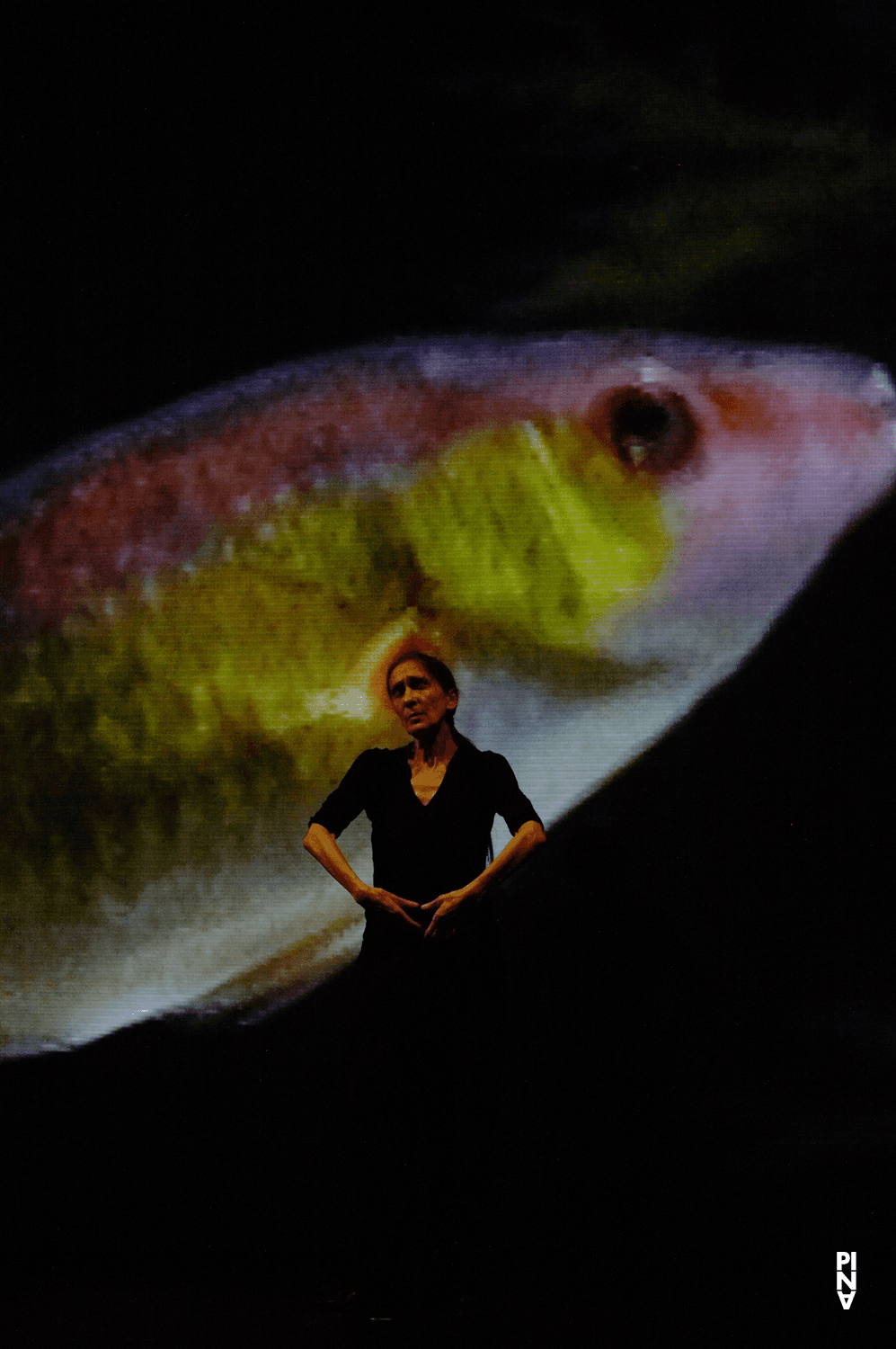 Pina Bausch in “Danzón” by Pina Bausch with Tanztheater Wuppertal at Schauspielhaus Wuppertal (Germany), Oct. 10, 2007