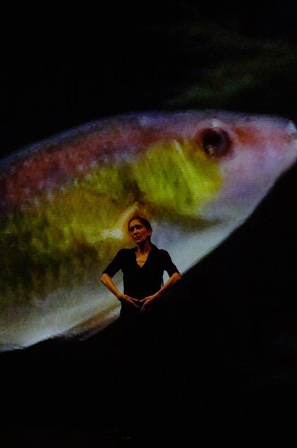 Pina Bausch in „Danzón“ von Pina Bausch mit Tanztheater Wuppertal im Schauspielhaus Wuppertal (Deutschland), 10. Oktober 2007