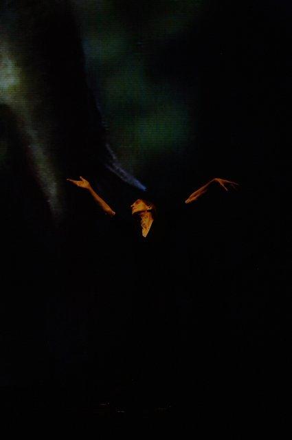 Pina Bausch dans « Danzón » de Pina Bausch avec Tanztheater Wuppertal au Schauspielhaus Wuppertal (Allemagne), 10 octobre 2007