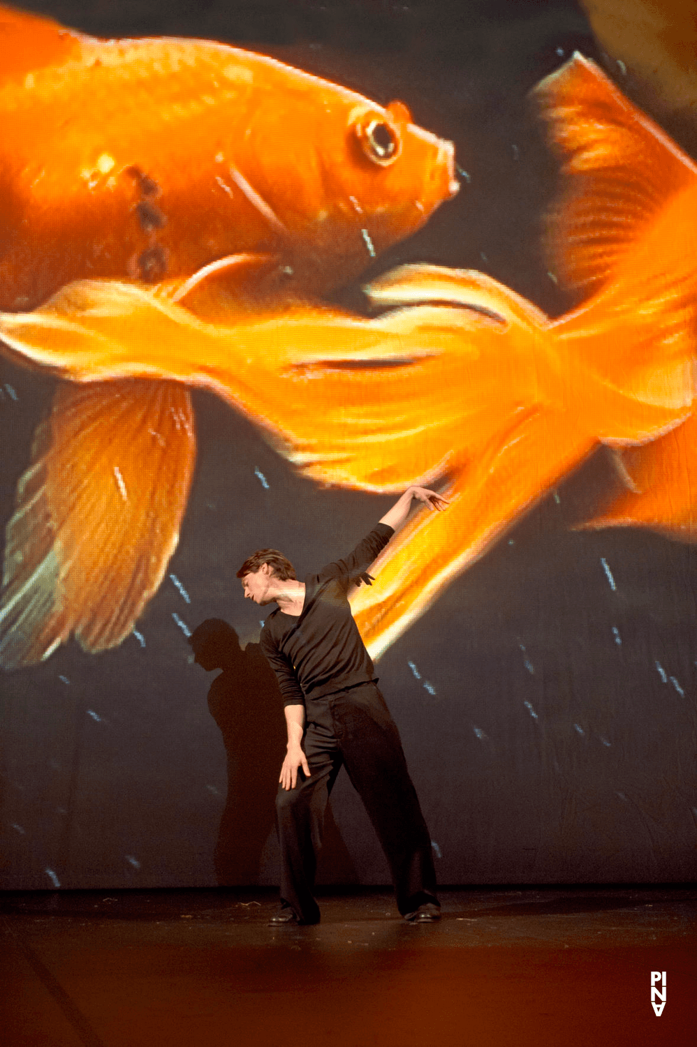 Aleš Čuček in “Danzón” by Pina Bausch with Tanztheater Wuppertal at Opernhaus Wuppertal (Germany), Jan. 21, 2015