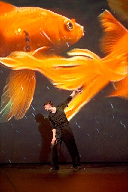 Aleš Čuček in „Danzón“ von Pina Bausch mit Tanztheater Wuppertal im Opernhaus Wuppertal (Deutschland), 21. Januar 2015
