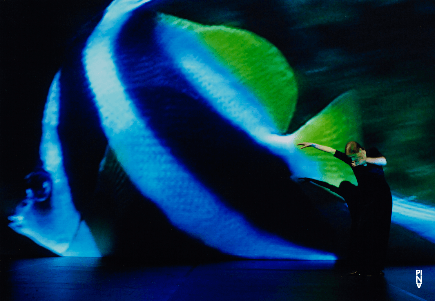 Pina Bausch dans « Danzón » de Pina Bausch