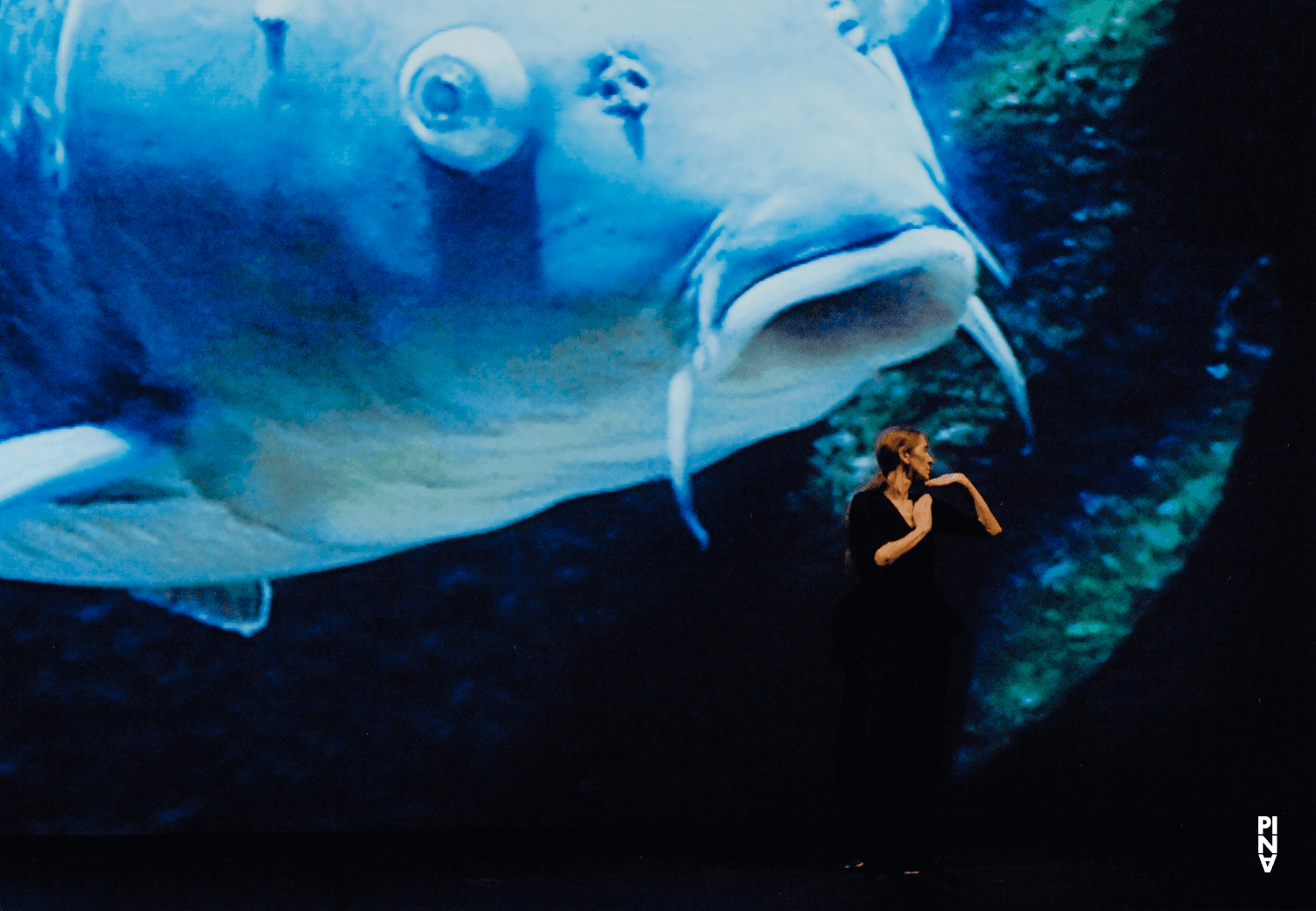 Pina Bausch in „Danzón“ von Pina Bausch