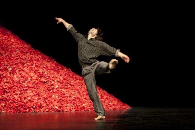 Rainer Behr in “Der Fensterputzer (The Window Washer)” by Pina Bausch with Tanztheater Wuppertal at Opernhaus Wuppertal (Germany), Nov. 3, 2011