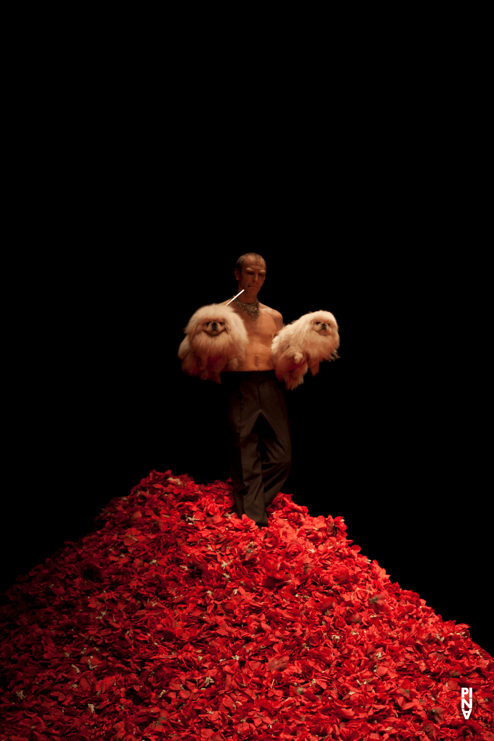 Andrey Berezin in “Der Fensterputzer (The Window Washer)” by Pina Bausch with Tanztheater Wuppertal at Opernhaus Wuppertal (Germany), Nov. 3, 2011