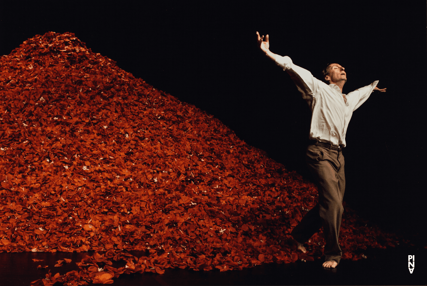 Dominique Mercy in “Der Fensterputzer (The Window Washer)” by Pina Bausch, Nov. 8, 2006