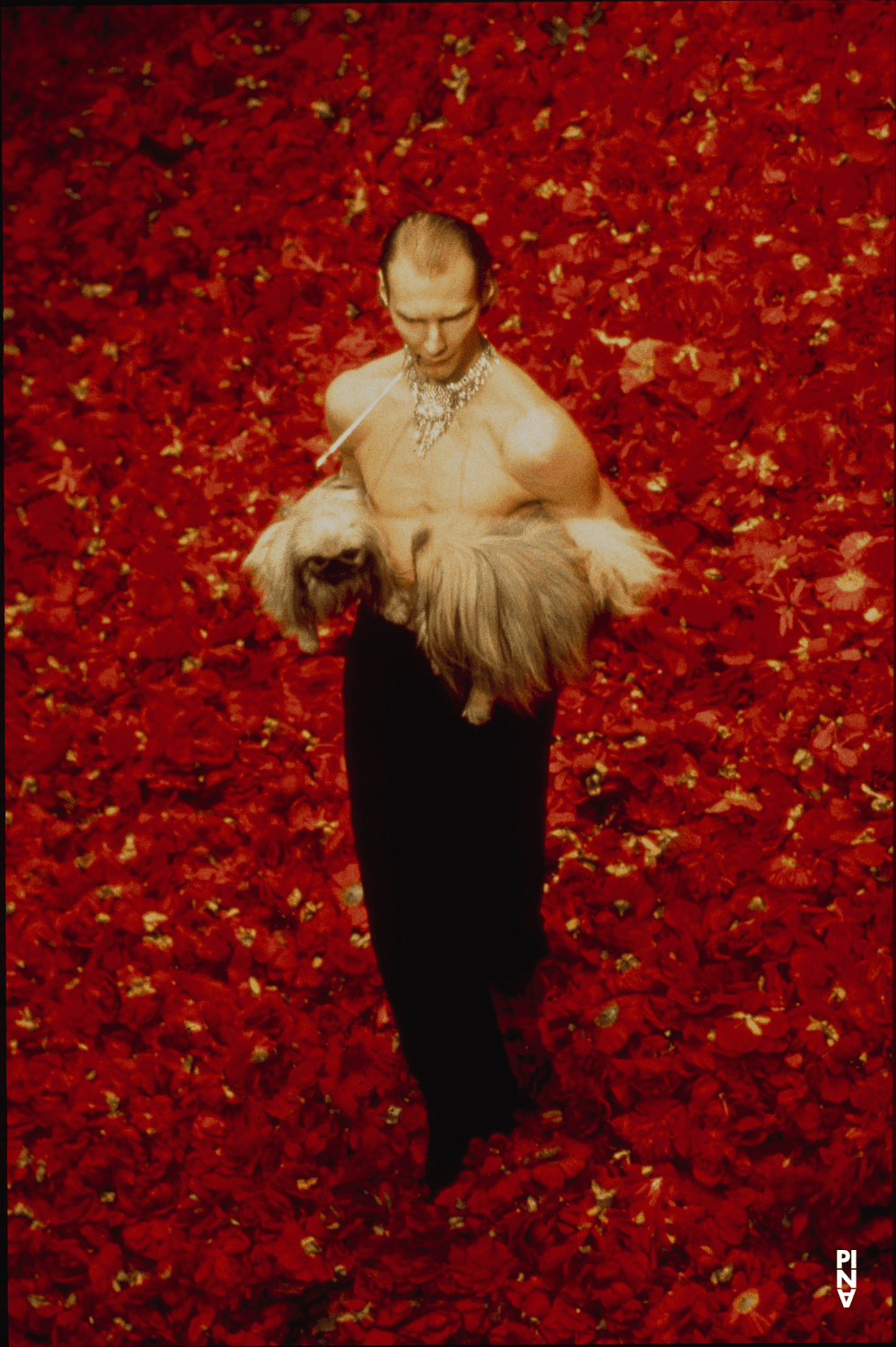 Andrey Berezin in „Der Fensterputzer“ von Pina Bausch