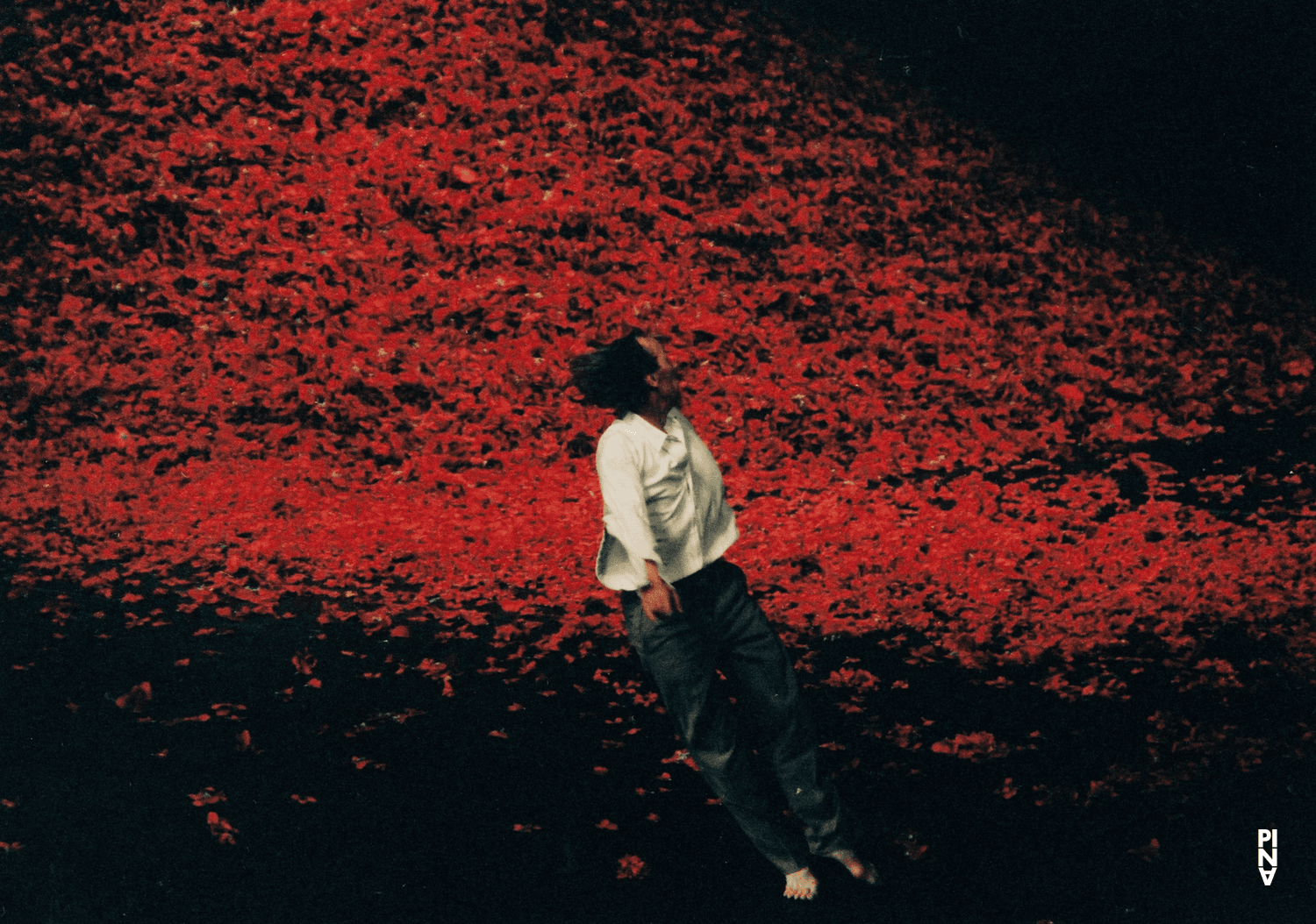 Dominique Mercy in “Der Fensterputzer (The Window Washer)” by Pina Bausch