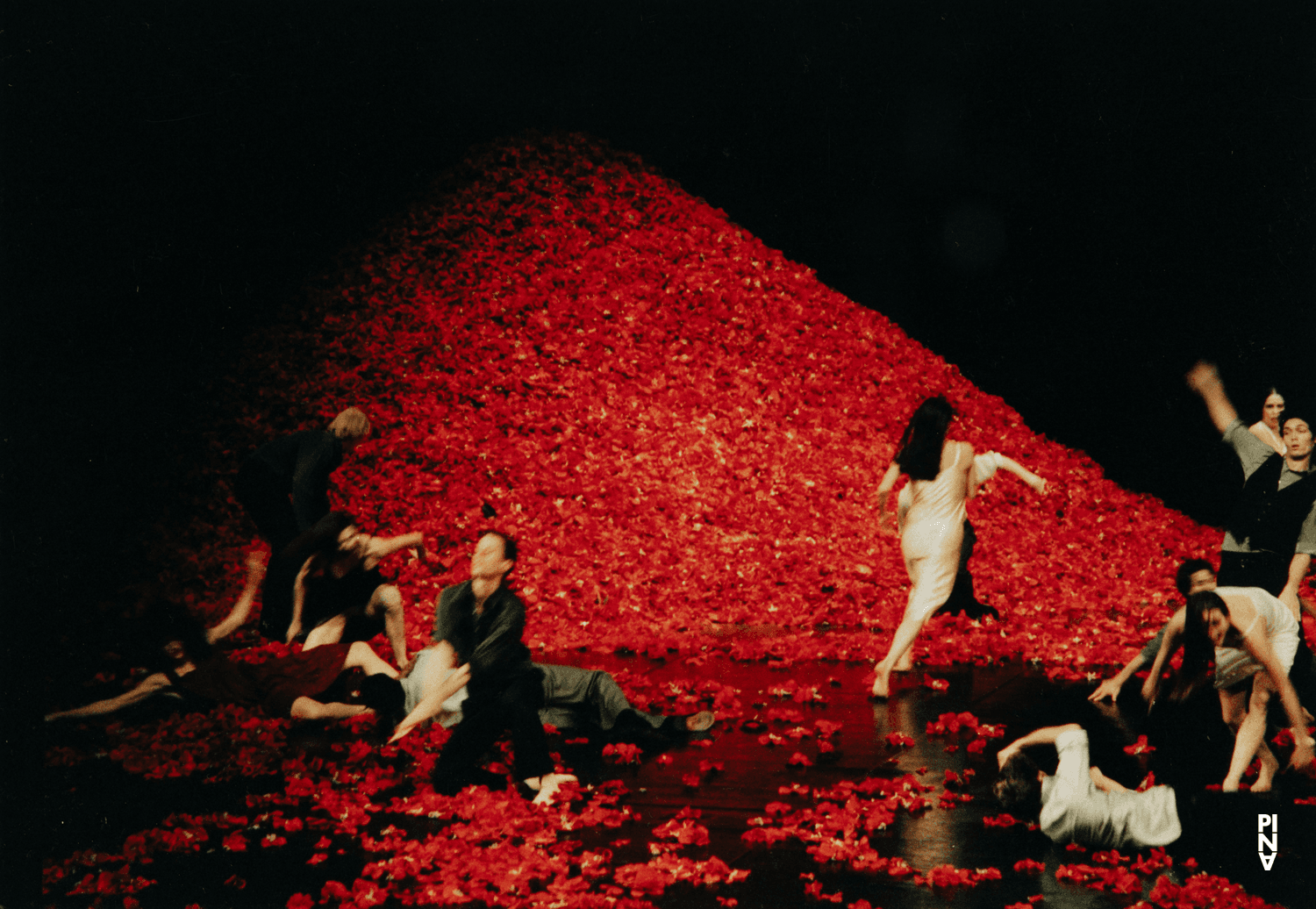 Ruth Amarante dans « Der Fensterputzer (Le laveur de vitres) » de Pina Bausch