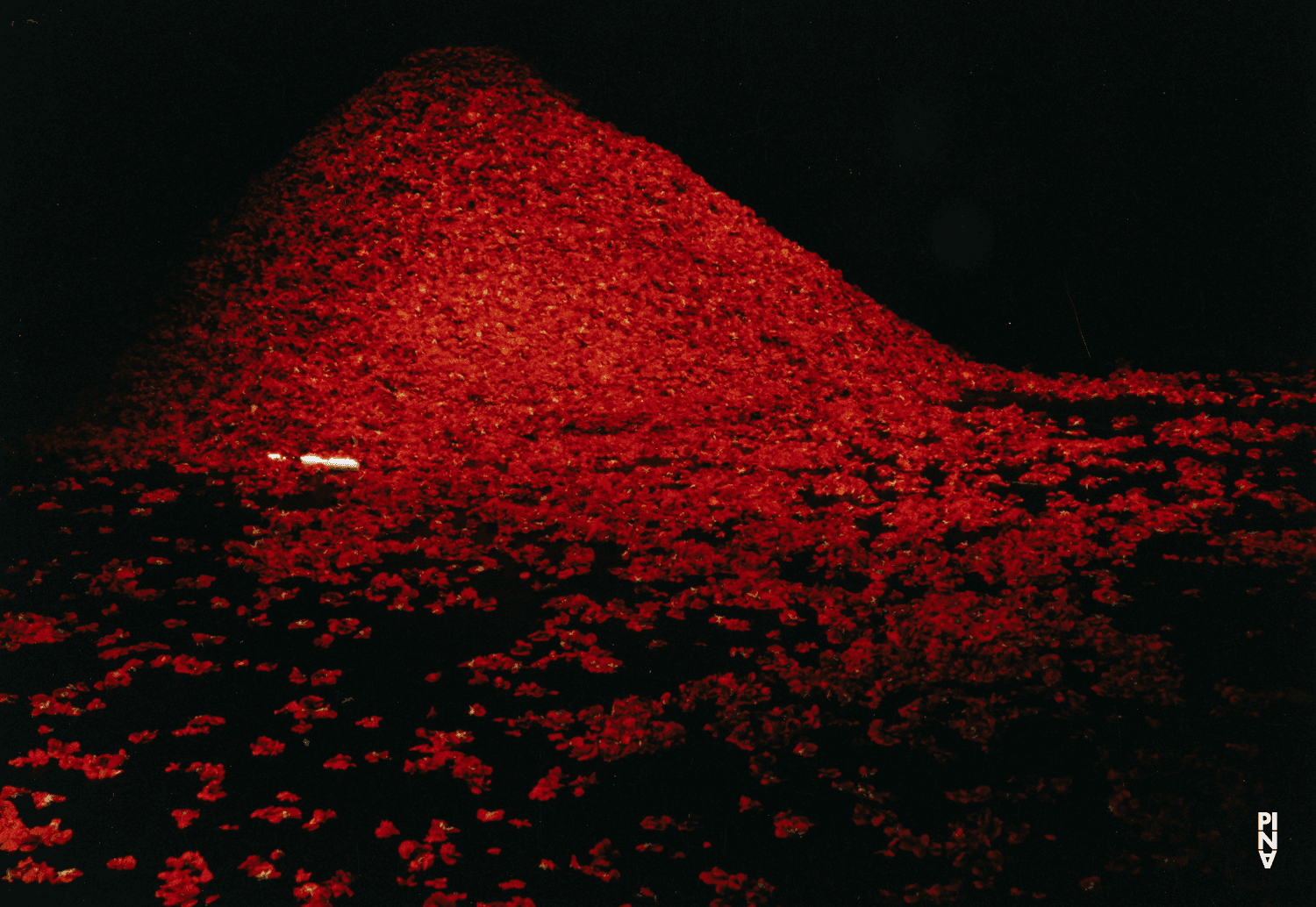 Photo de « Der Fensterputzer (Le laveur de vitres) » de Pina Bausch