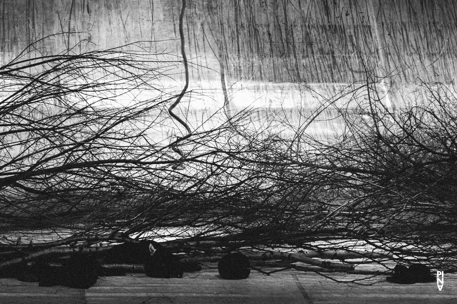 Photo de « Komm tanz mit mir » de Pina Bausch