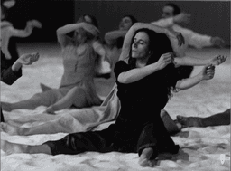„Tanzabend II“ von Pina Bausch | Foto: Detlef Erler