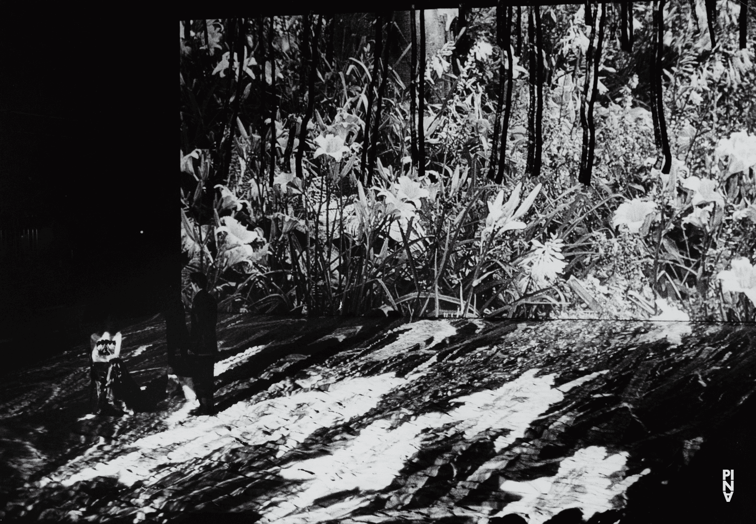 „Tanzabend II“ von Pina Bausch