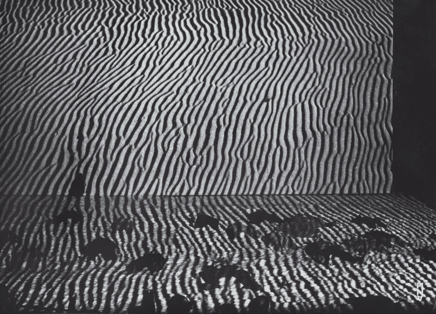 „Tanzabend II“ von Pina Bausch