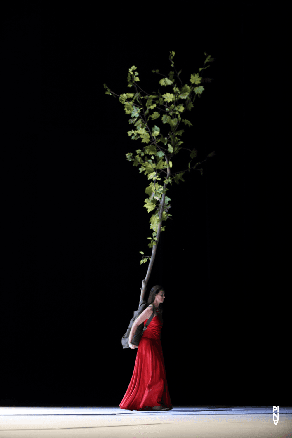 Clémentine Deluy in “"... como el musguito en la piedra, ay si, si, si ..." (Like Moss on the Stone)” by Pina Bausch with Tanztheater Wuppertal, Oct. 2, 2019