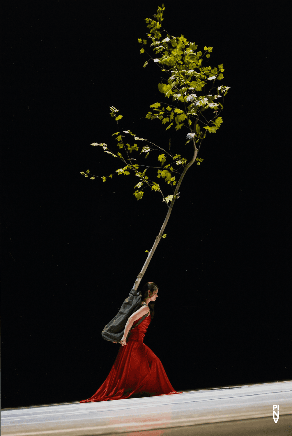 Clémentine Deluy in „"... como el musguito en la piedra, ay si, si, si ..." (Wie das Moos auf dem Stein)“ von Pina Bausch