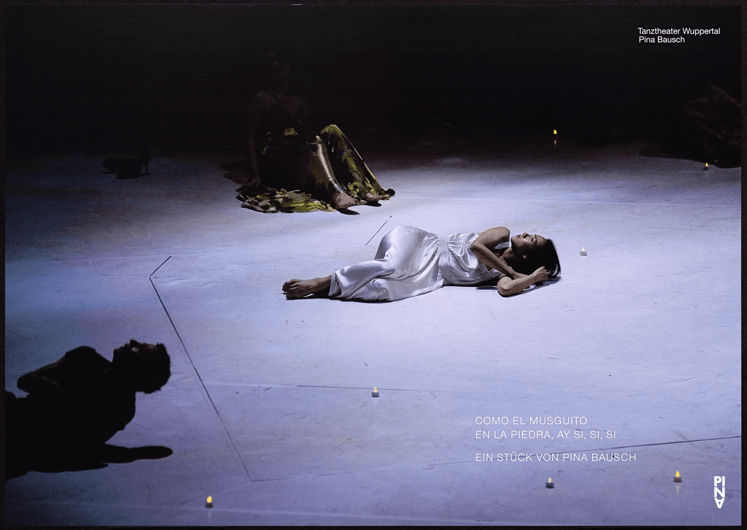 Affiche (« "... como el musguito en la piedra, ay si, si, si ..." (Comme la mousse sur la pierre) » de Pina Bausch)