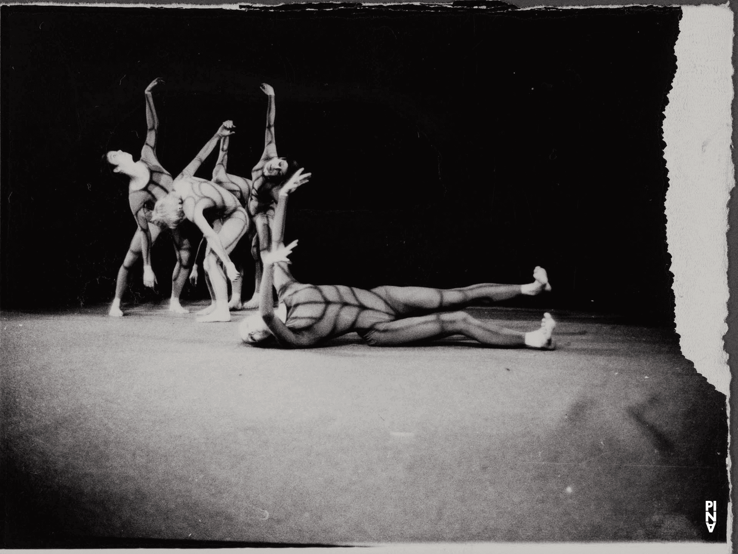 Photo de « Nachnull (Après Zéro) » de Pina Bausch
