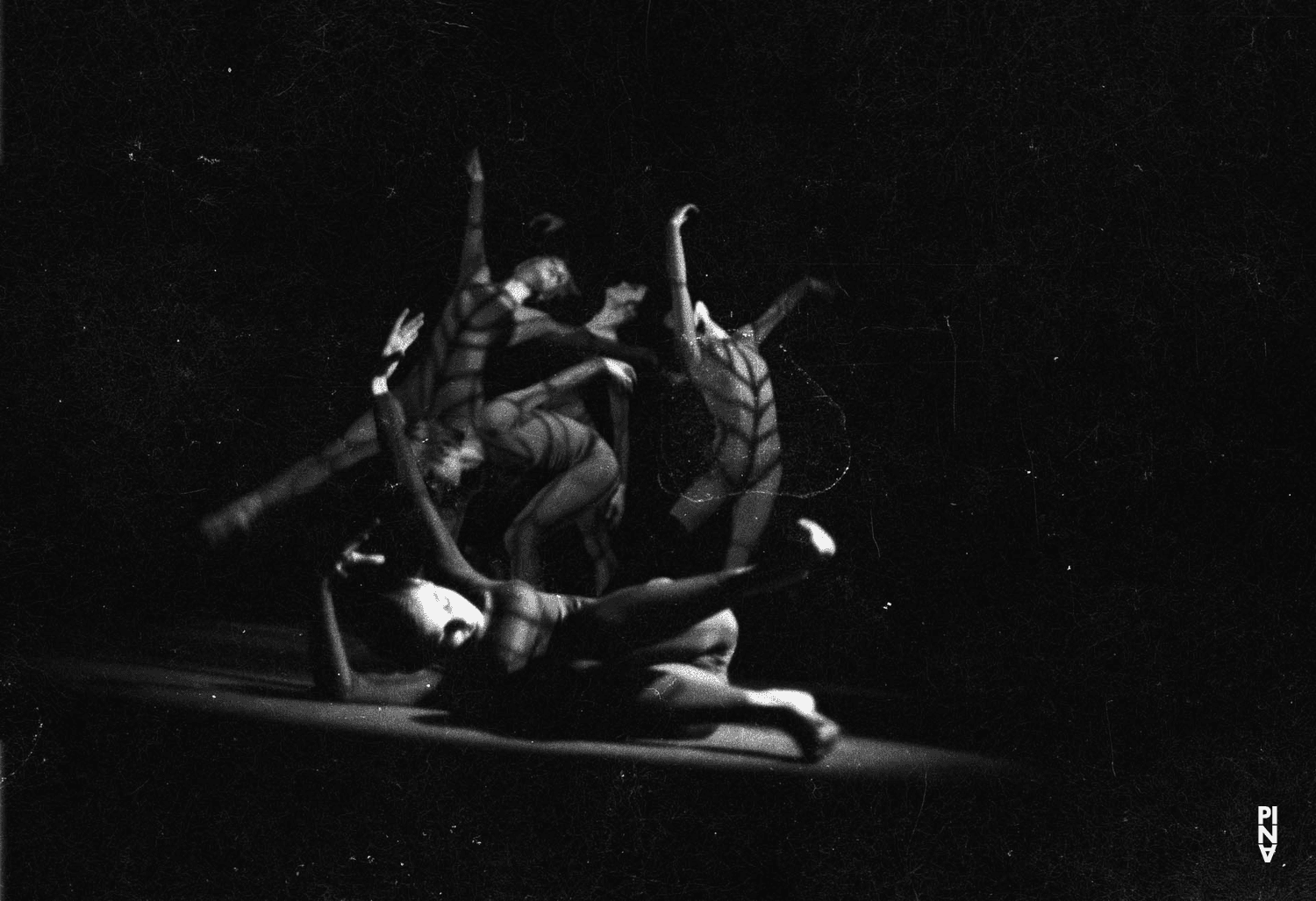 “Nachnull (After Zero)” by Pina Bausch