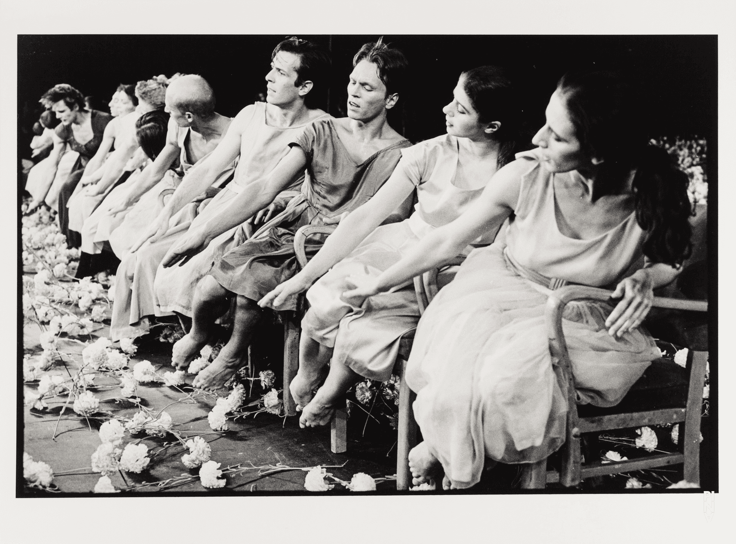 Photo de « Nelken (Les œillets) » de Pina Bausch