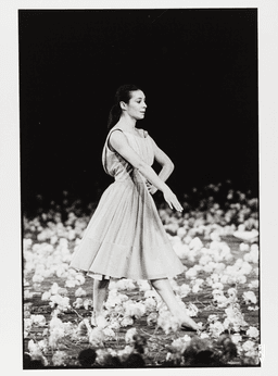 Anne Marie Benati in « Nelken (Les oeillets) » de Pina Bausch | Photo: Guy Delahaye