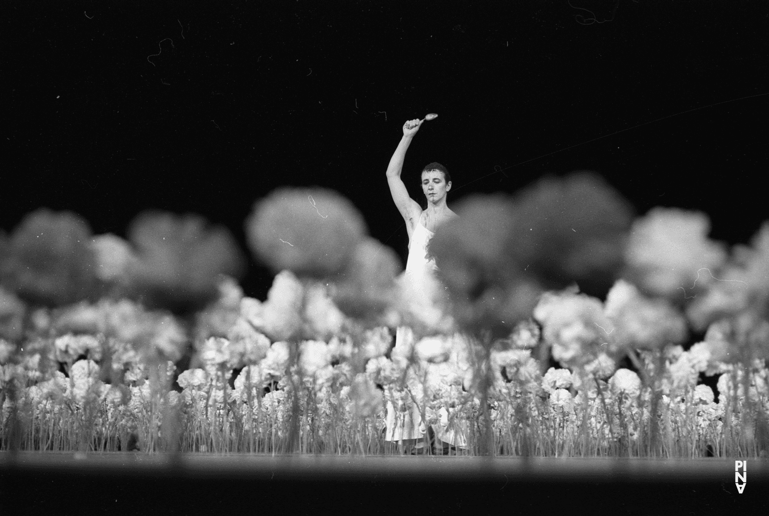 Beatrice Libonati in „Nelken“ von Pina Bausch