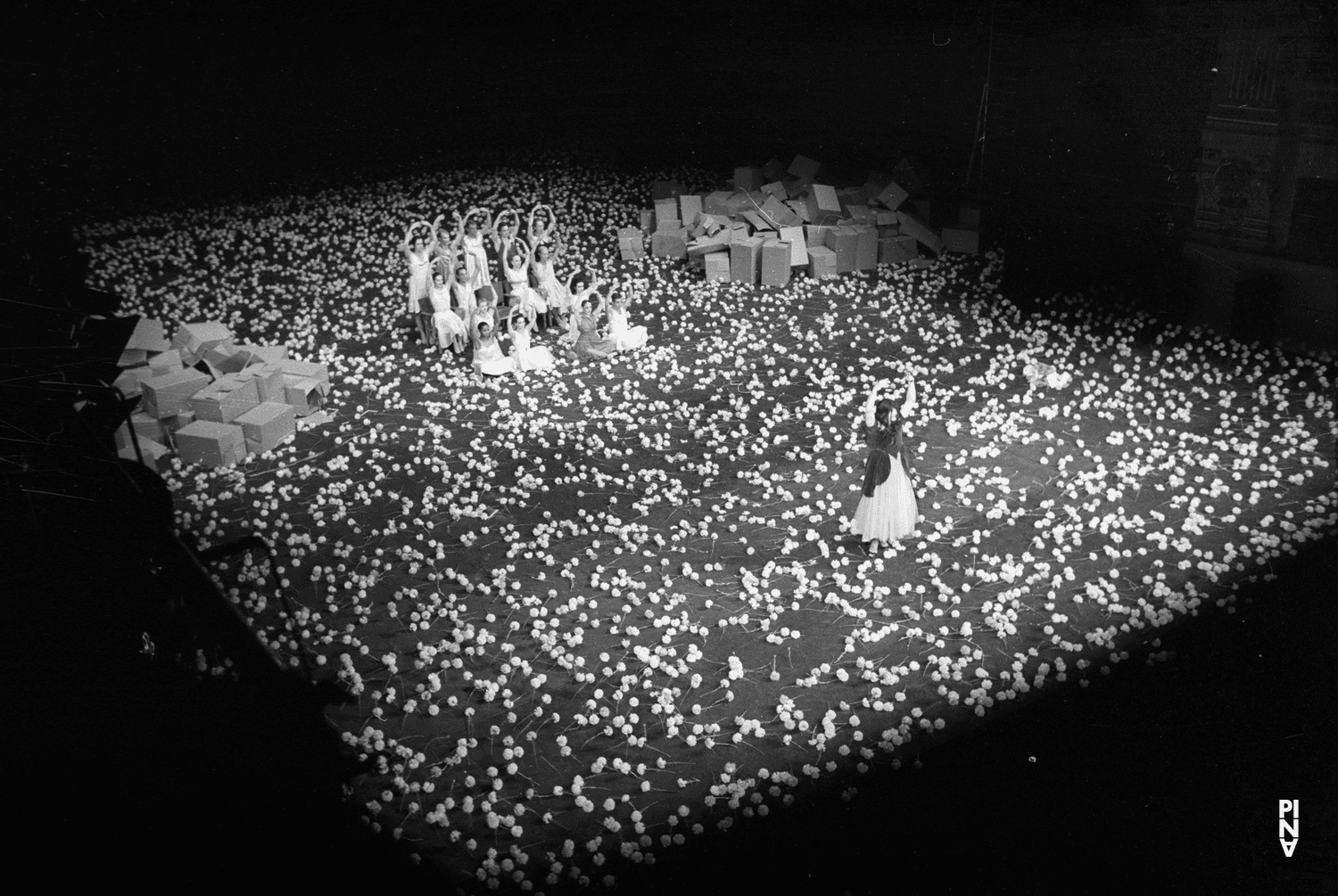 Jan Minařík in “Nelken (Carnations)” by Pina Bausch