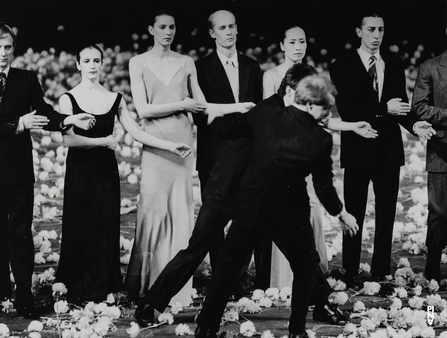 „Nelken“ von Pina Bausch