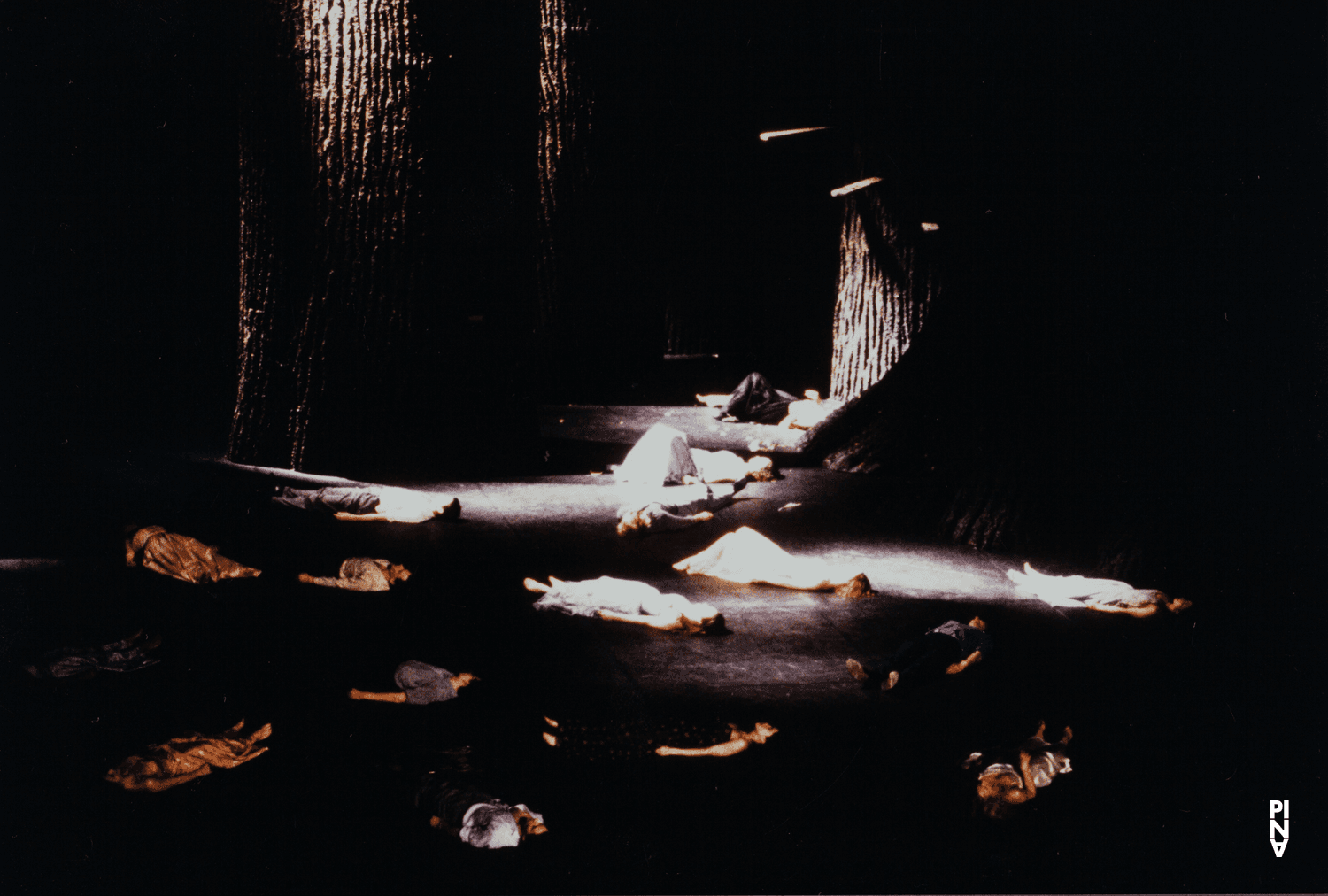 Photo de « Nur Du » de Pina Bausch