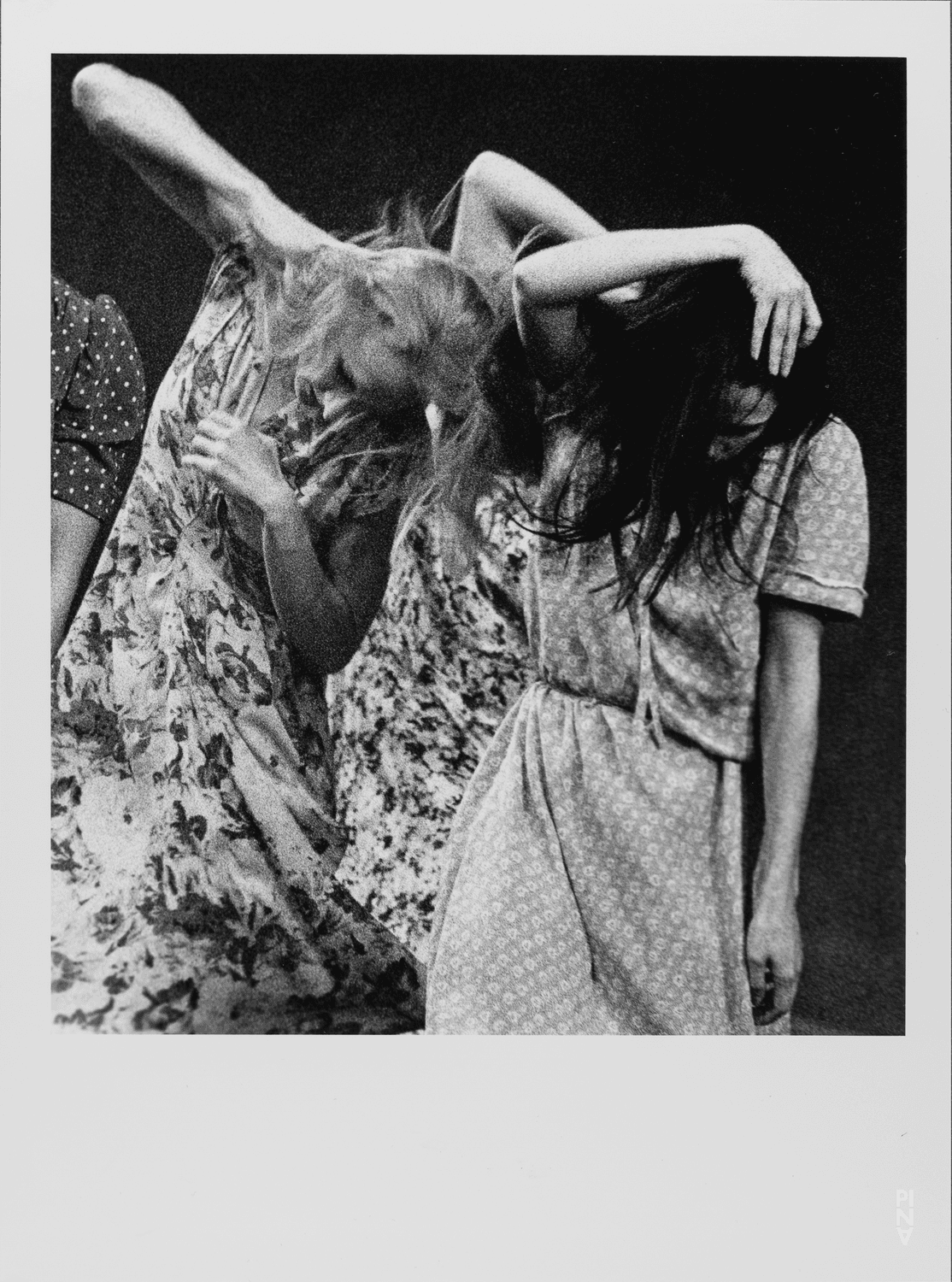 Photo: Maarten Vanden Abeele