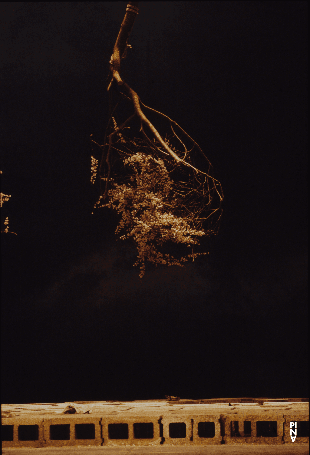 “Palermo Palermo” by Pina Bausch
