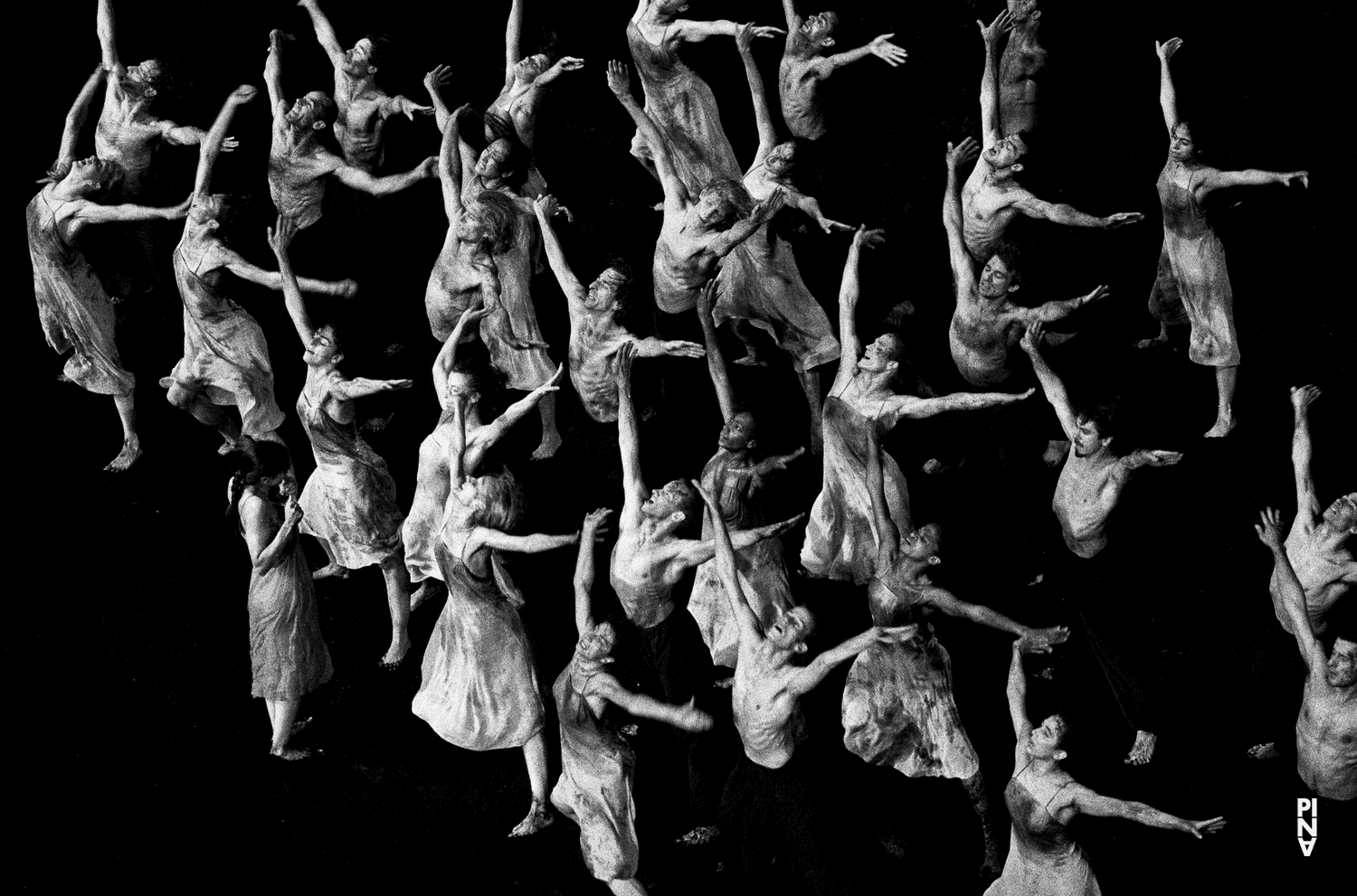 Photo de « Le Sacre du printemps » de Pina Bausch