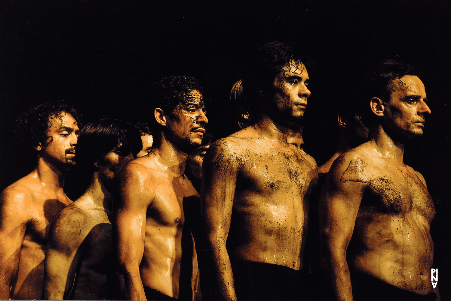 “The Rite of Spring” by Pina Bausch