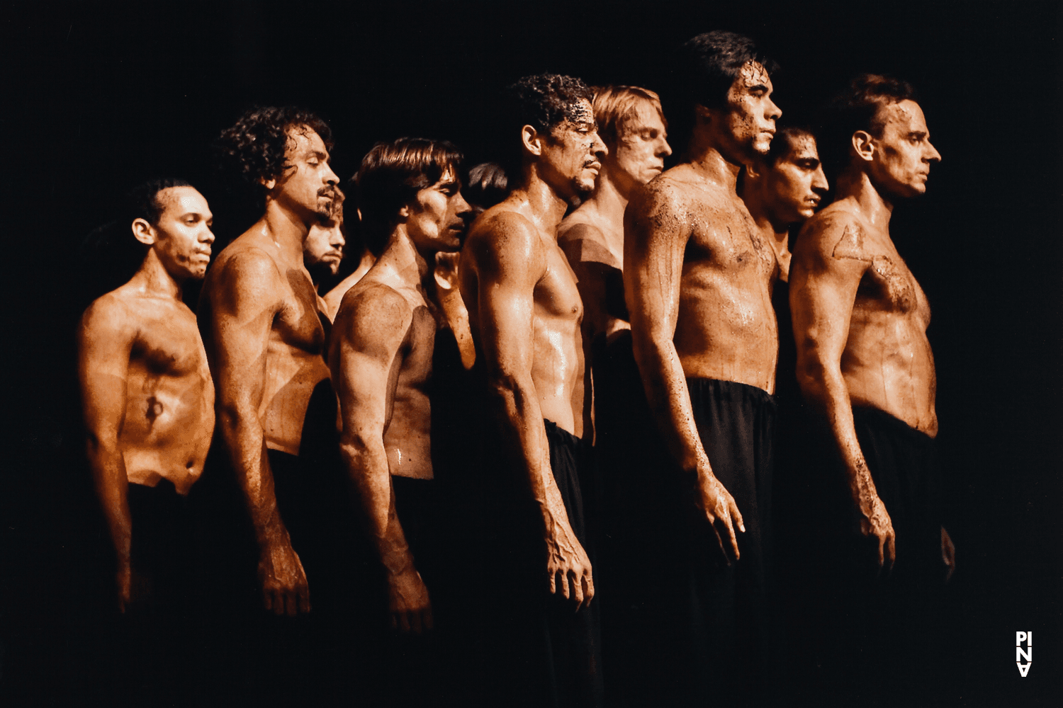 “The Rite of Spring” by Pina Bausch