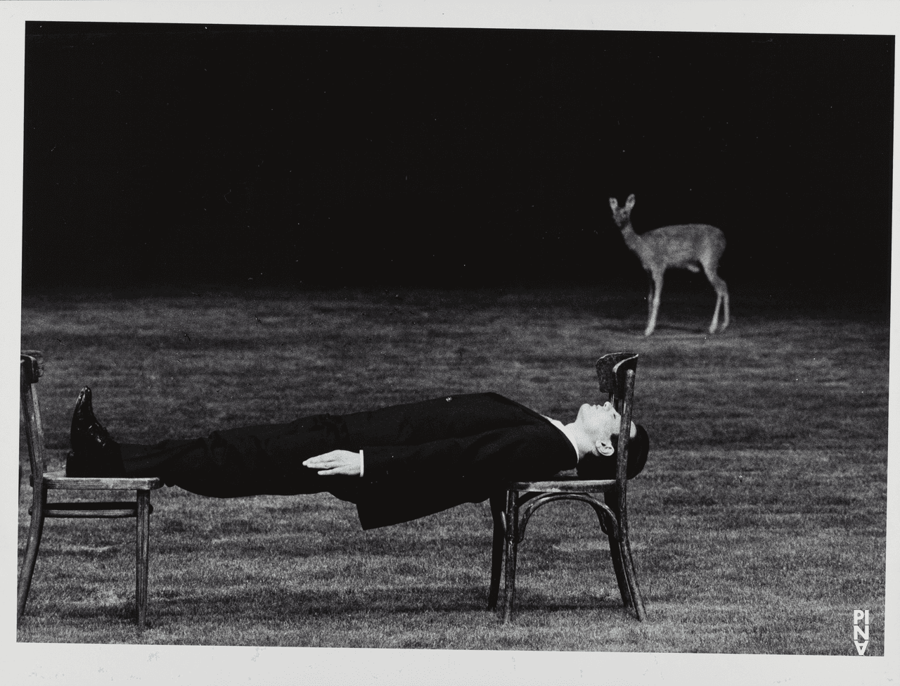 Antonio Carallo in « 1980 – Une pièce de Pina Bausch » de Pina Bausch