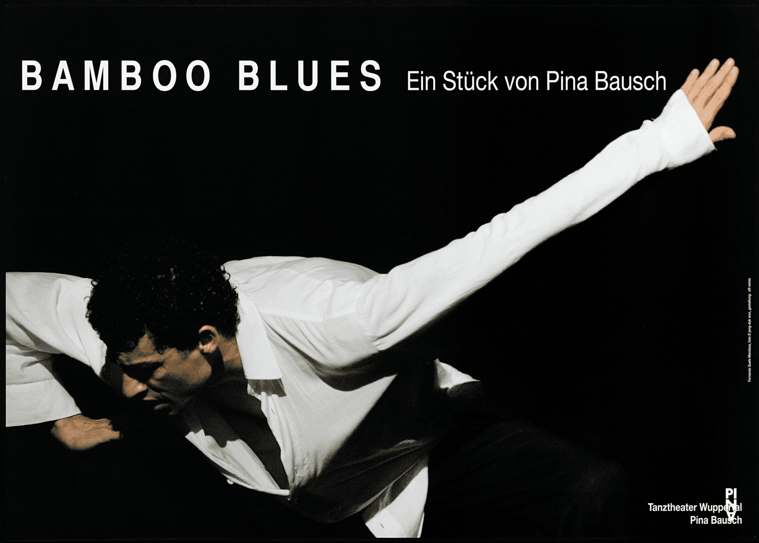 Affiche (« Bamboo Blues » de Pina Bausch)