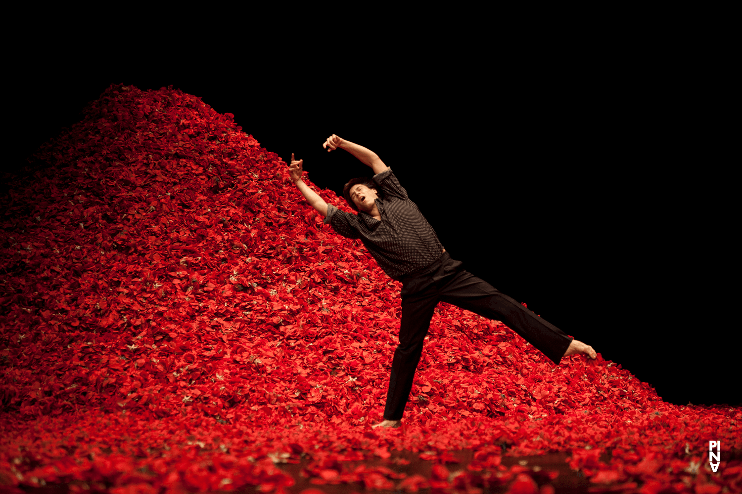 Aleš Čuček in “Der Fensterputzer (The Window Washer)” by Pina Bausch with Tanztheater Wuppertal at Opernhaus Wuppertal (Germany), Nov. 3, 2011