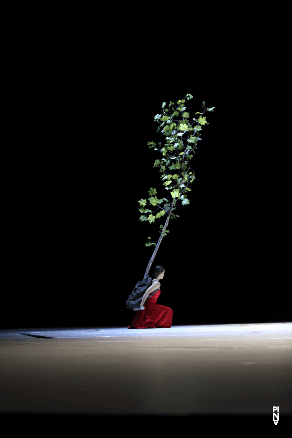 Clémentine Deluy in „"... como el musguito en la piedra, ay si, si, si ..." (Wie das Moos auf dem Stein)“ von Pina Bausch mit Tanztheater Wuppertal, 2. Oktober 2019