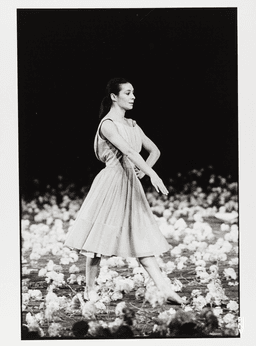 Anne Marie Benati in “Nelken (Carnations)” by Pina Bausch | Photo: Guy Delahaye