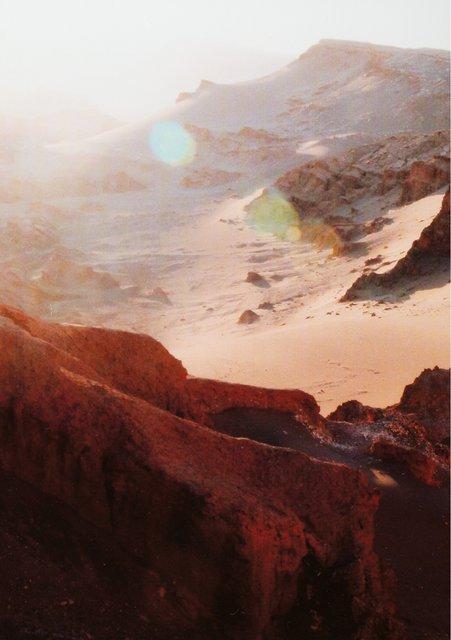 Programme pour « "... como el musguito en la piedra, ay si, si, si ..." (Comme la mousse sur la pierre) » de Pina Bausch avec Tanztheater Wuppertal à Wuppertal, 12 juin 2009 – 21 juin 2009
